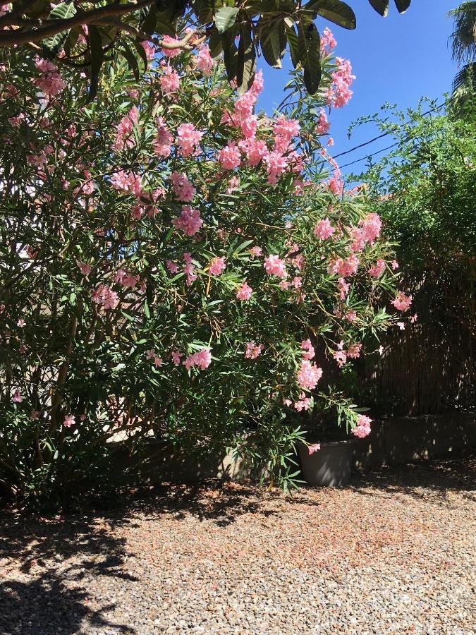 Dans Une Maison, Appartement Independant Et Jardin Perpignan Buitenkant foto