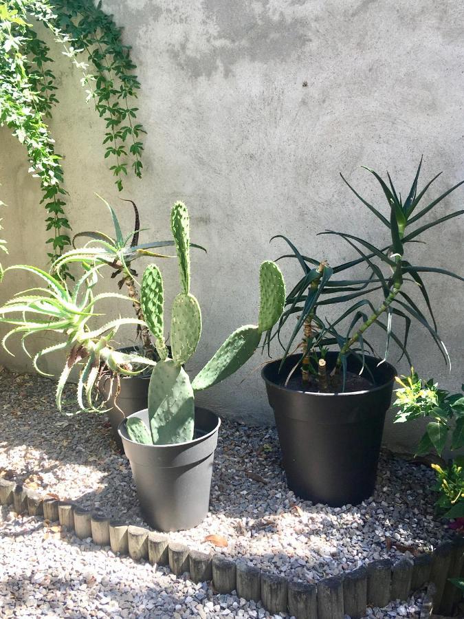 Dans Une Maison, Appartement Independant Et Jardin Perpignan Buitenkant foto